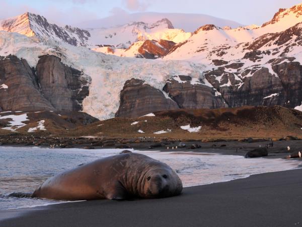Argentina & Antarctica 1 month holiday