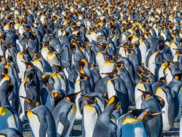 Argentina & Antarctica 1 month holiday