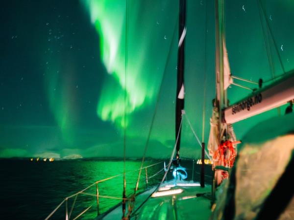 Whale watching and Northern Lights sailing holiday in Norway