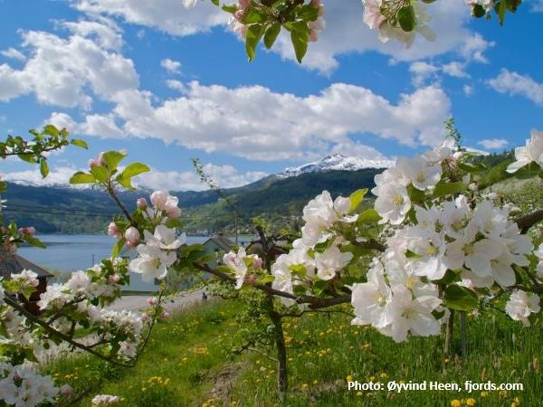 Fjords hiking holiday, Norway