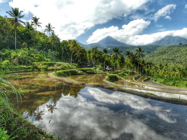 Walking in Bali and Lombok small group holiday