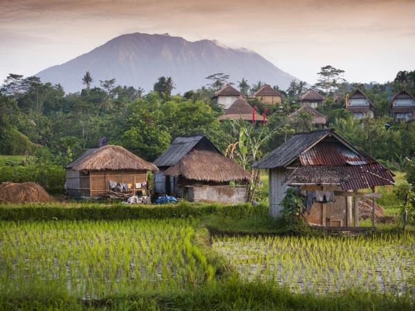 Walking in Bali and Lombok small group holiday