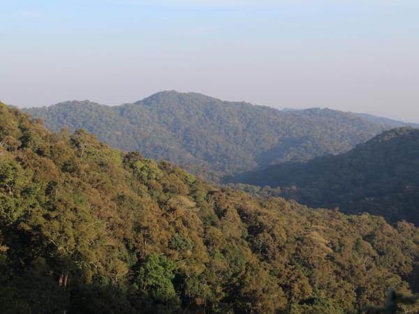 Uganda bird watching holiday with primate trek