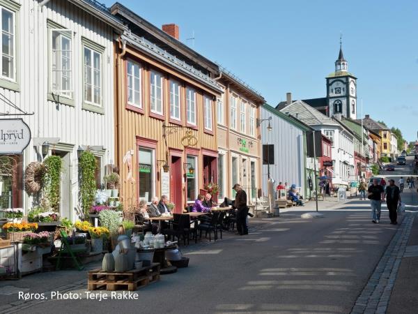 Central Norway cycling holiday, R�ros to Trondheim