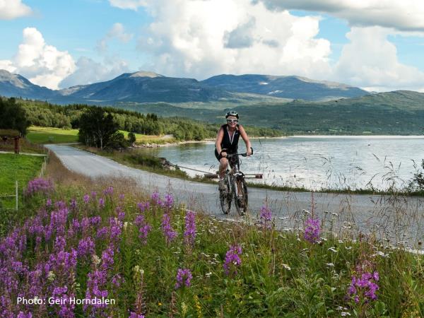 Central Norway cycling holiday, R�ros to Trondheim