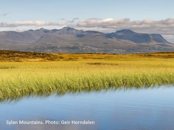 Central Norway cycling holiday, R�ros to Trondheim