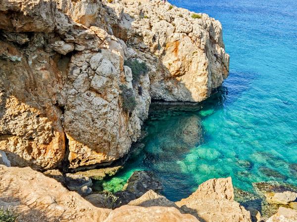 Cyprus food and foraging winter holiday