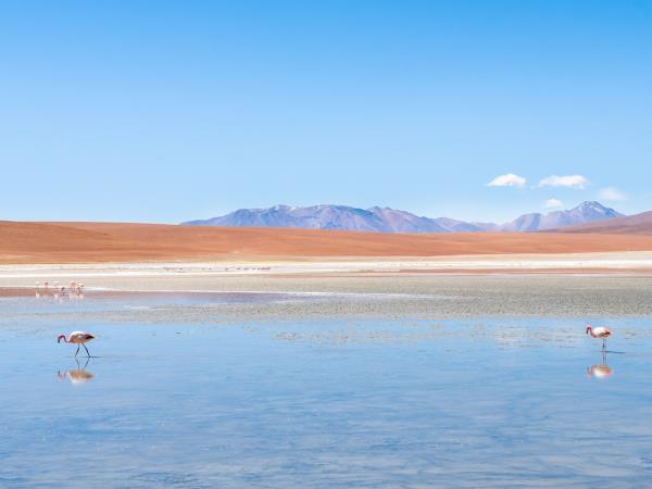 Atacama Desert photography tour, Chile