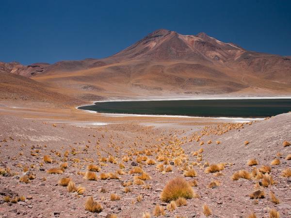 Atacama Desert photography tour, Chile