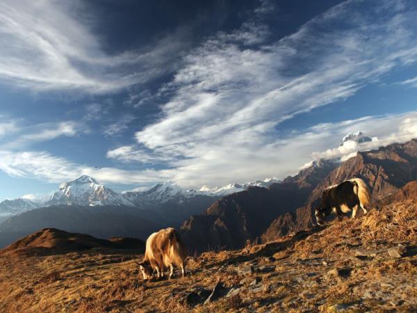 Nepal walking holiday in comfort