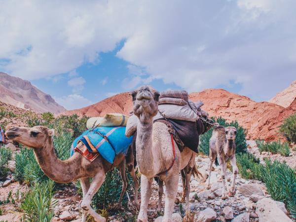 Morocco walking holiday in comfort