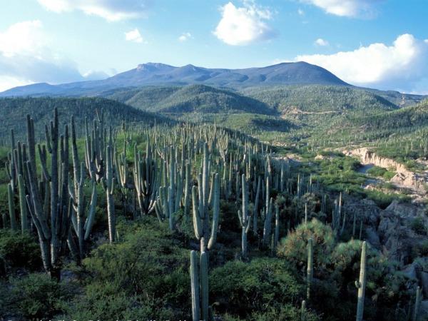 Mexico City & Puebla holiday, tailor made
