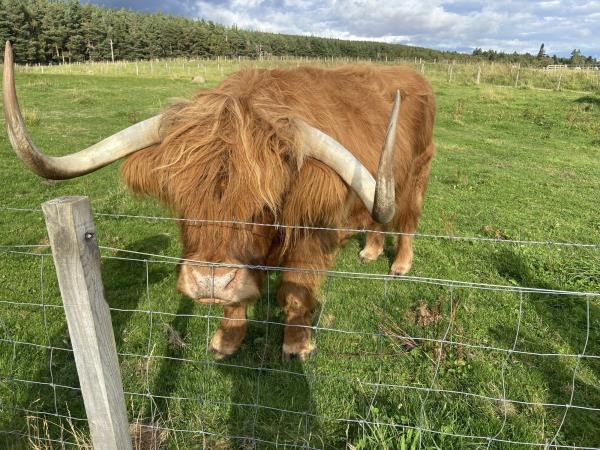 Scottish Highlands family holiday