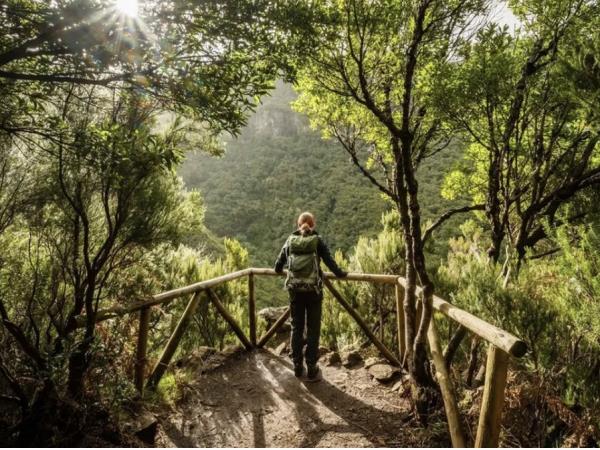 Madeira walking holiday in comfort