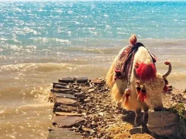 Tibet trekking tour, private departure