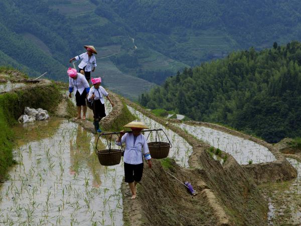 Trekking and cultural tour of China