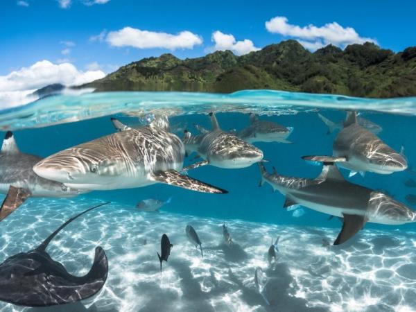 French Polynesia 10 night small ship cruise