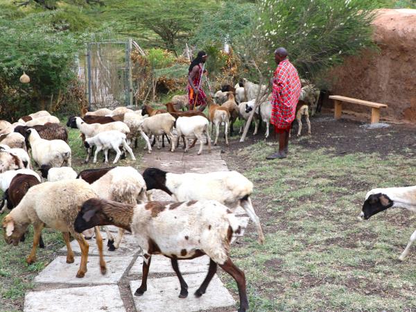 Kenyan village and farm tour, 5 days