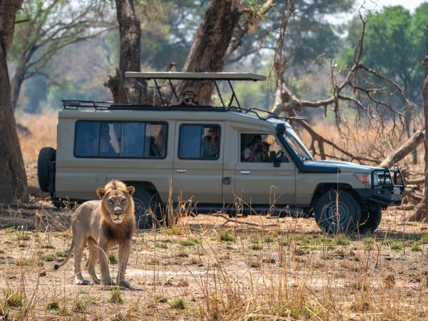 Mobile walking safari holiday in Zambia