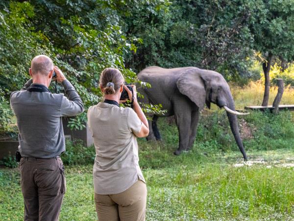 Mobile walking safari holiday in Zambia