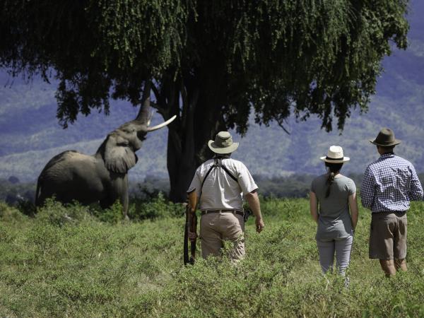 Zimbabwe camping safari