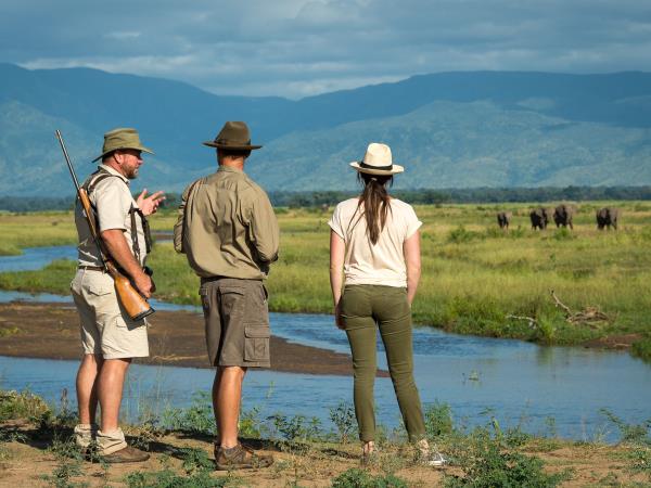 Zimbabwe camping safari