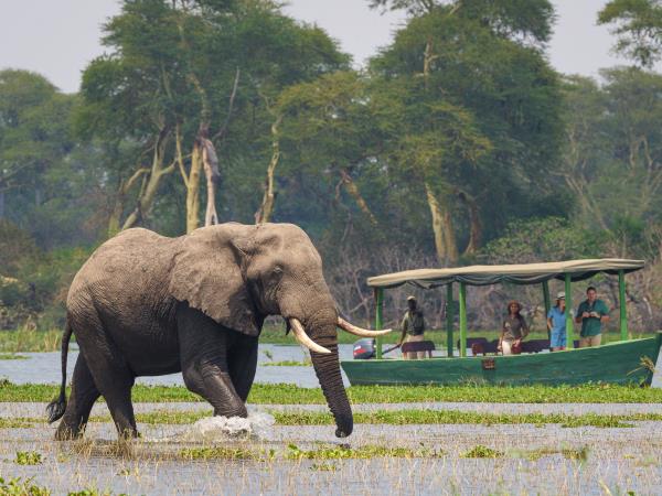 Malawi safari and lake adventure holiday