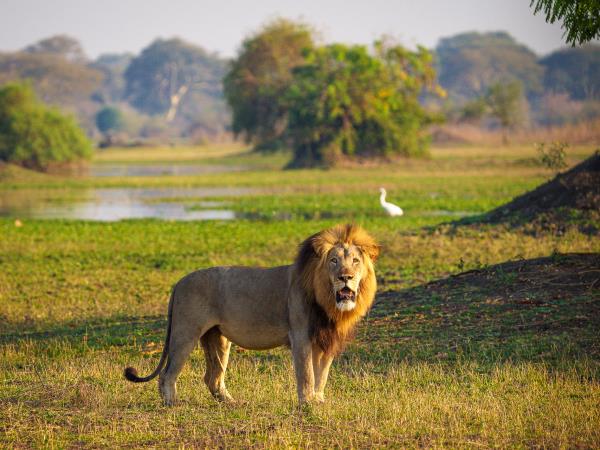 Malawi safari and lake adventure holiday