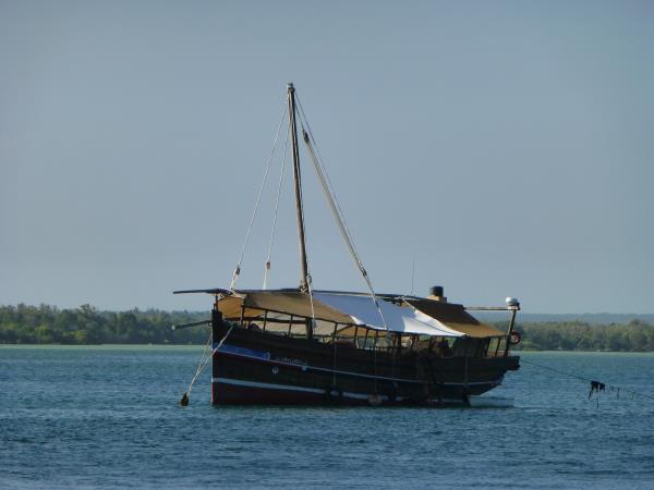 Northern Kenya safari and Diani beach