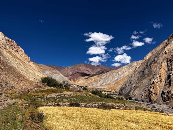 Markha Valley trek, Ladakh, India  