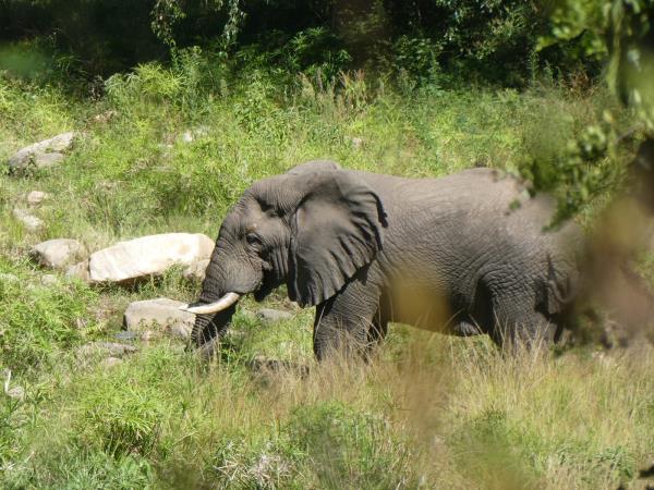 Northern Kenya trekking and safari holiday
