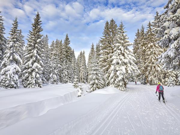 Ski touring winter holiday