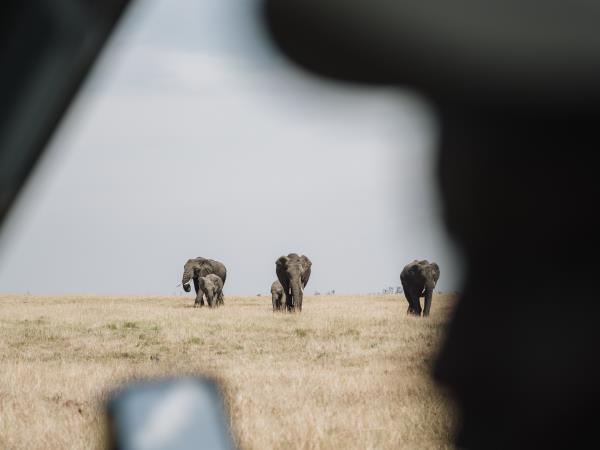 Maasai Mara wildlife photography holiday
