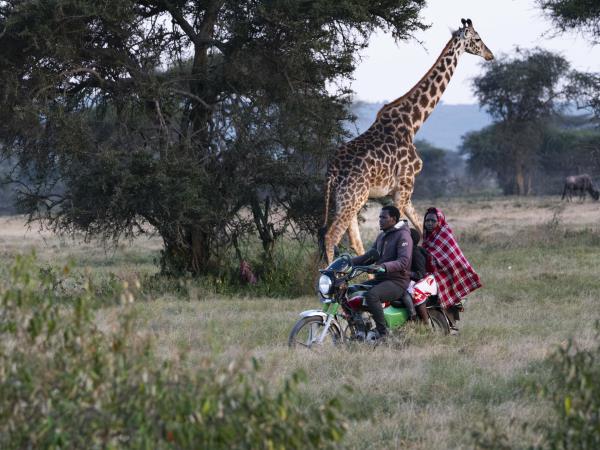 Maasai Mara wildlife photography holiday
