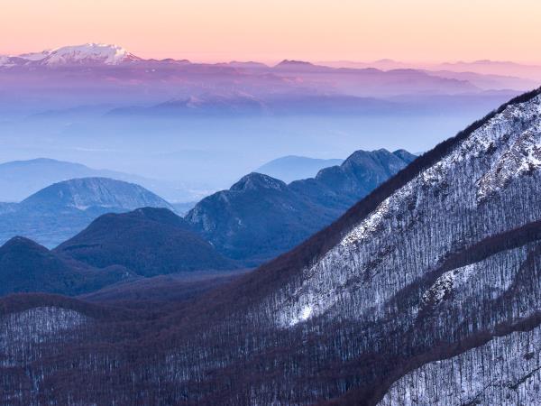 Wolf Tracking holiday in Central Appenines, Italy