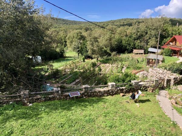 Yoga with dance retreat in Montenegro
