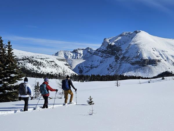 Snow shoeing and winter hiking holiday, Canada