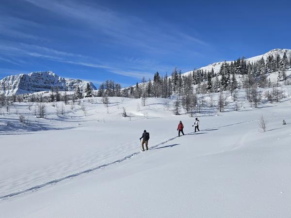 Snow shoeing and winter hiking holiday, Canada