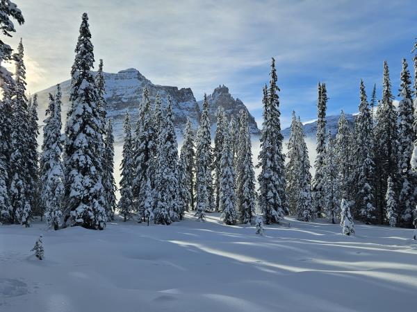 Snow shoeing and winter hiking holiday, Canada
