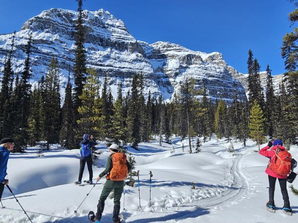Snow shoeing and winter hiking holiday, Canada
