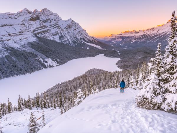 Snow shoeing and winter hiking holiday, Canada