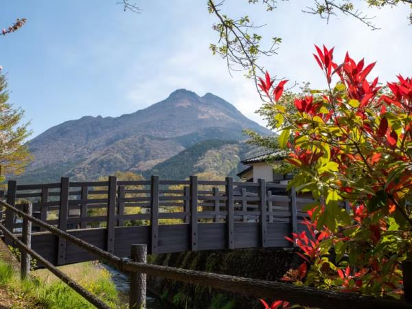 Kyushu and Shikoku island tour in Japan