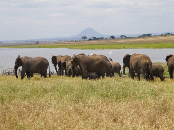 Tanzania national park holiday, off the beaten path