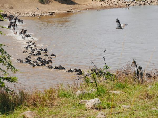 Tanzania national park holiday, off the beaten path