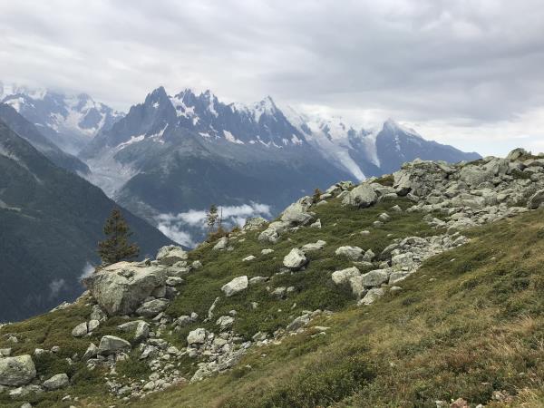 Tour du Mont Blanc guided walking holiday, 10 days
