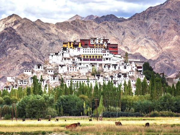 Ladakh mountains trekking adventure