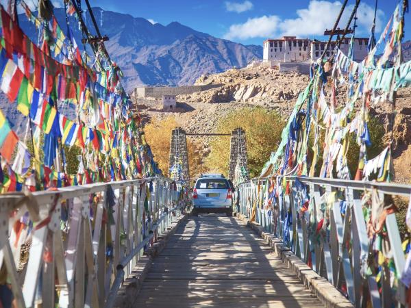 Ladakh mountains trekking adventure