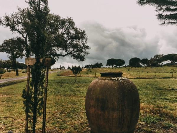 Alentejo heritage bike tour, Portugal