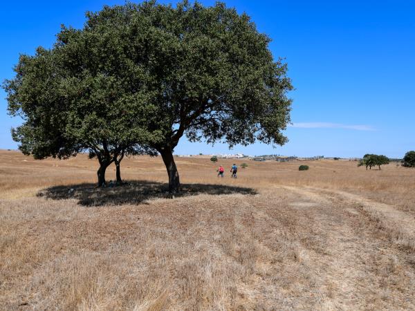 Alentejo heritage bike tour, Portugal