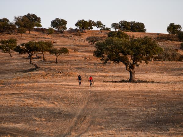 Alentejo heritage bike tour, Portugal